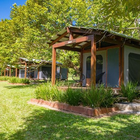 Noah Creek Eco Huts Vila Cape Tribulation Exterior foto