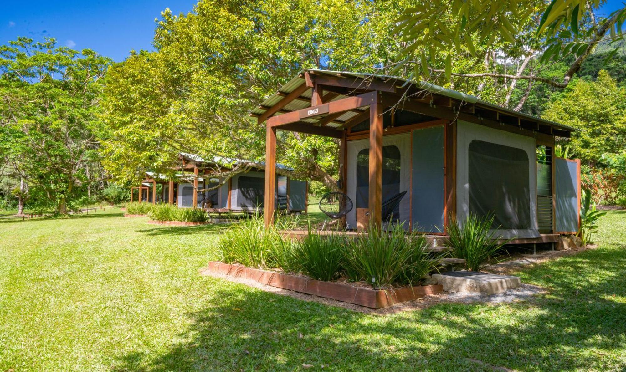 Noah Creek Eco Huts Vila Cape Tribulation Exterior foto